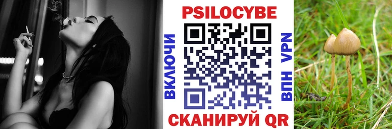 маркетплейс какой сайт Старая Купавна Псилоцибиновые грибы Cubensis